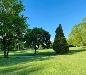 Elevating Lawn Care Standards in Burlington, Kentucky